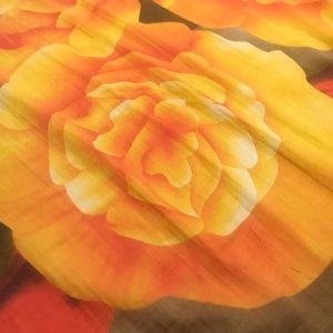 Meet your Posher, Shanon